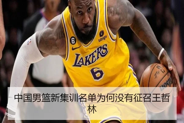 中国男篮新集训名单为何没有征召王哲林